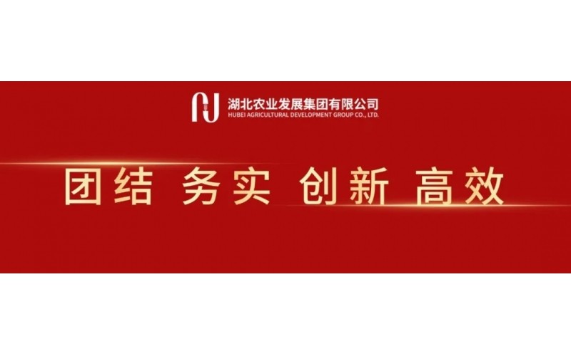 湖北農(nóng)發(fā)集團召開黨委（擴大）會 傳達貫徹全省集中整治違規(guī)吃喝動員部署會精神